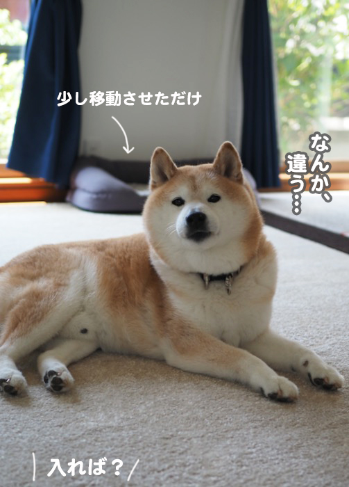 1日夕ブログ８