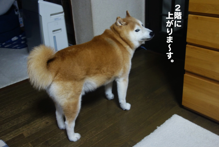 5日夜ブログ２