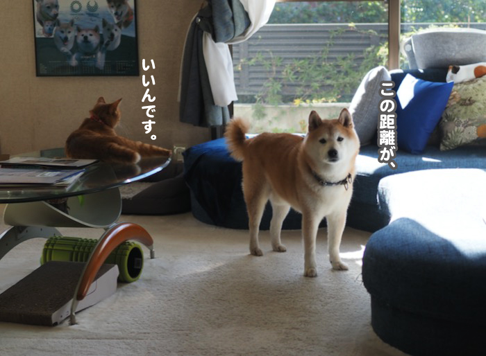 11日ブログ３