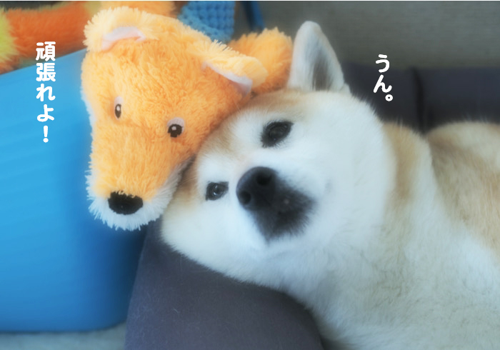 28日ブログ５