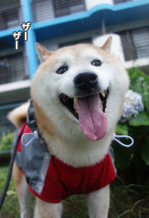 16日ブログ1