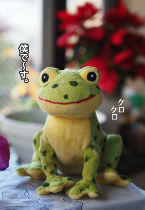18日夜ブログ３
