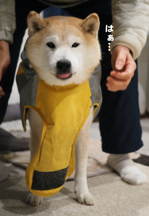 7日ブログ５