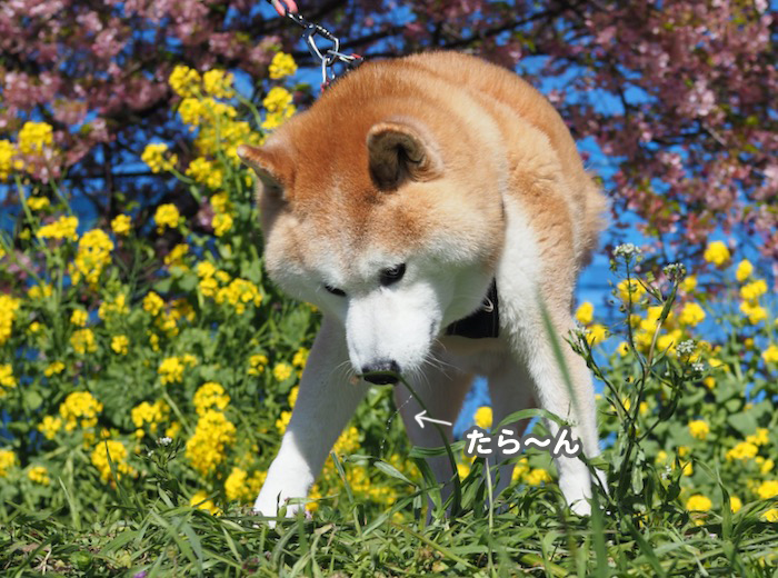 28日ブログ２