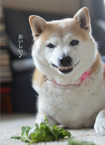 19日ブログ6.jpg
