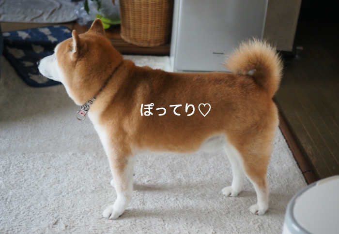 11日夜ブログ５
