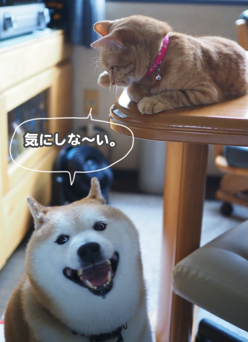 2日夕ブログ４