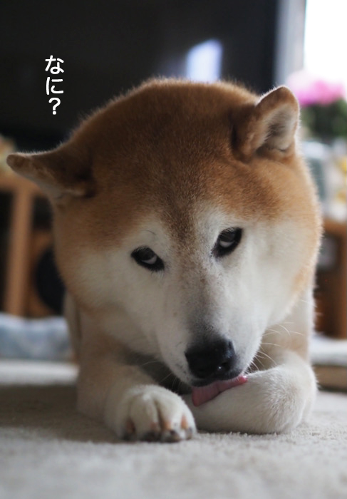 24日ブログ４