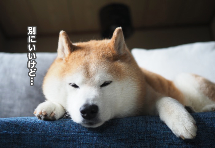 14日夕ブログ５