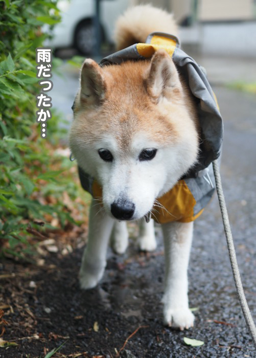 10日夕ブログ２