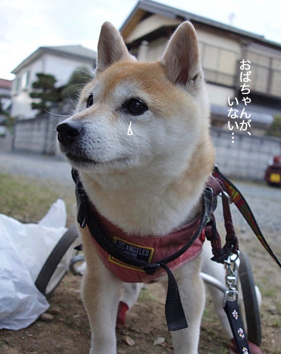 11日ブログ４