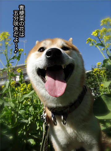 19日ブログ4.jpg
