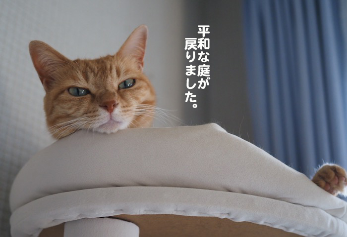 27日夕ブログ７
