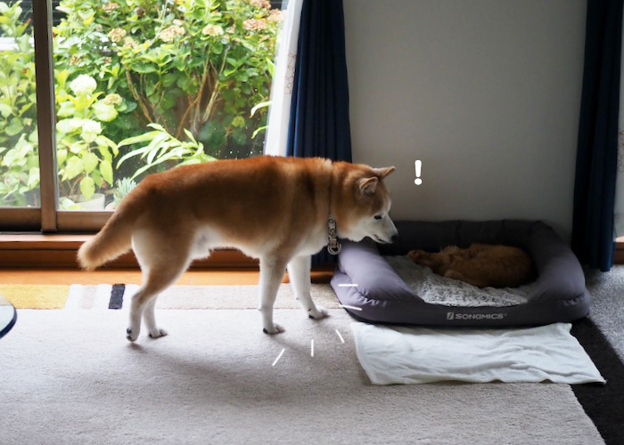 11日ブログ７