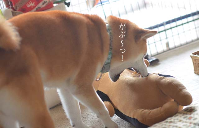 23日ブログ14