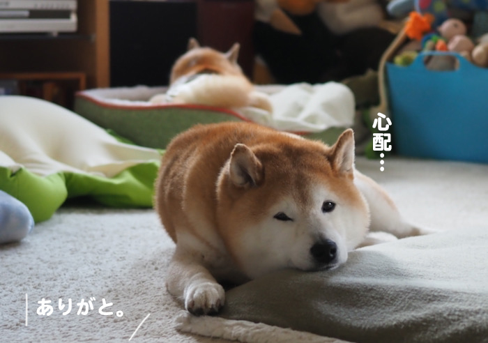 11日ブログ５