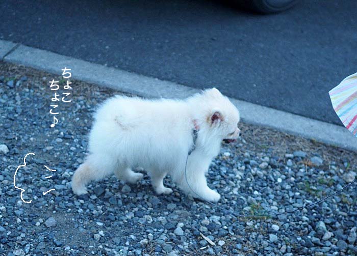 31日午前ブログ３