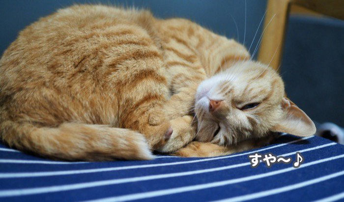 19日午前ブログ１