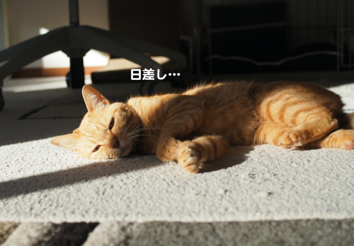 14日の午前ブログ２