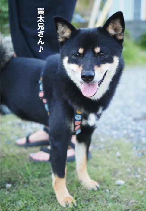 4日ブログ３