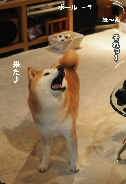 4日夜ブロ１０