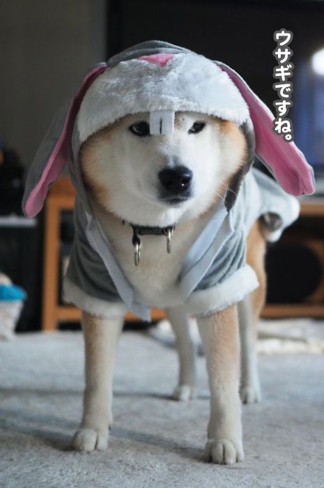 16日夕ブログ４