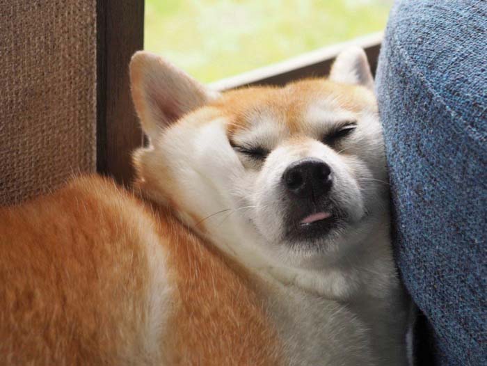 13日夜ブログ４