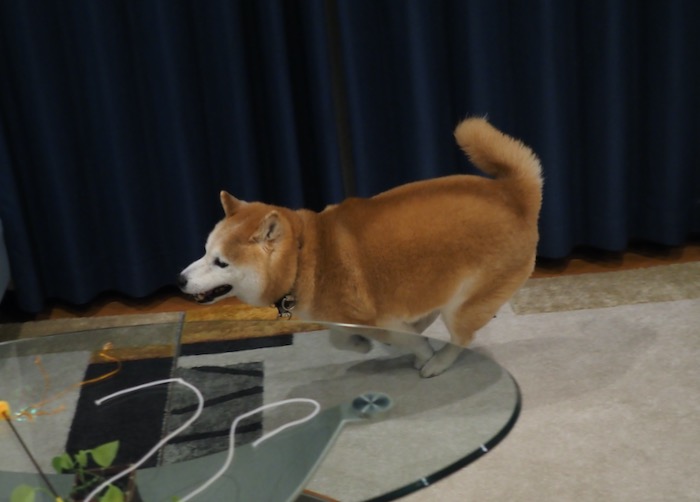 22日夕ブログ２０