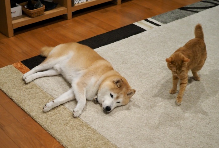 7日午前ブログ４