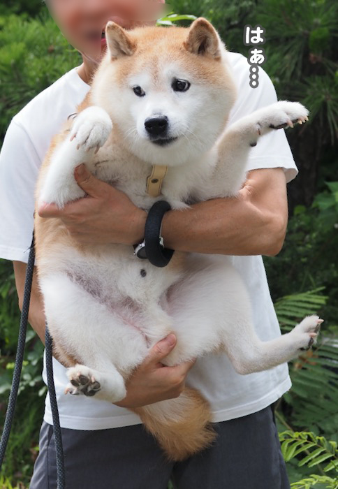 9日ブログ４