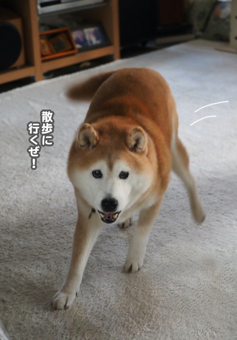 28日夕ブログ３