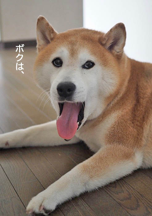 7日夜ブログ４