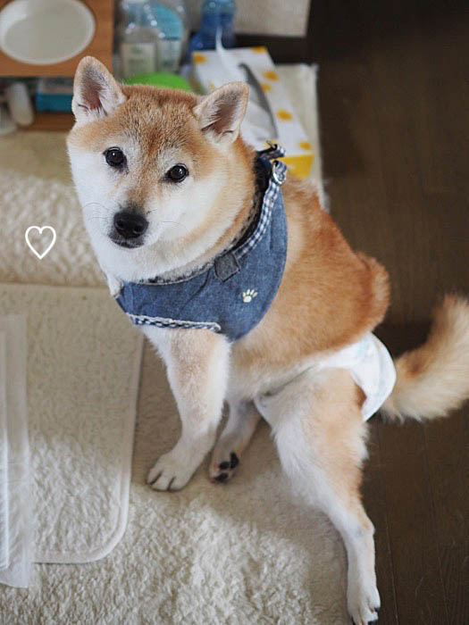 8日朝ブログ１