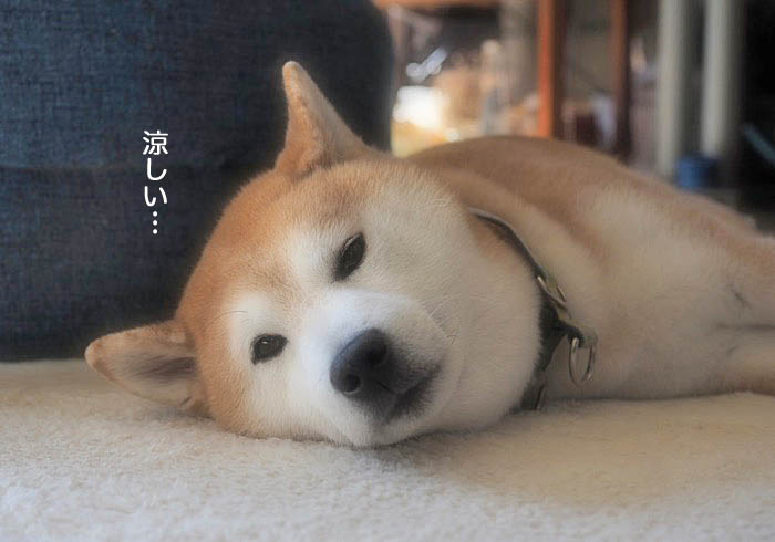21日ブログ４