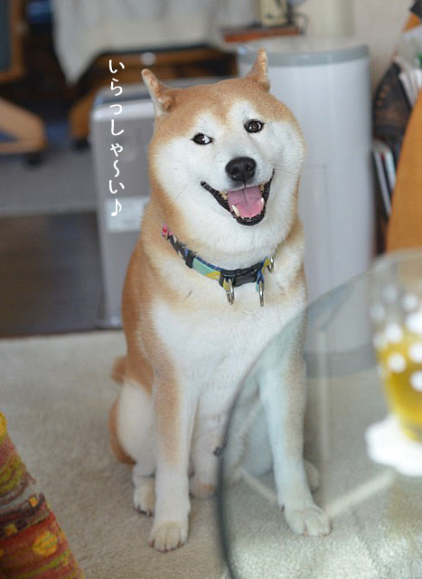 27日ブログ7