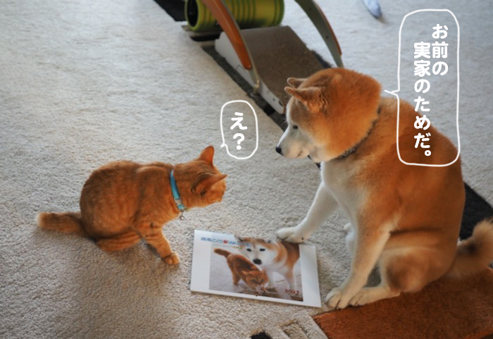 17日夕ブログ４