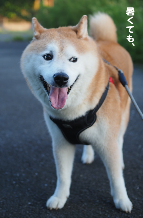 25日ブログ１