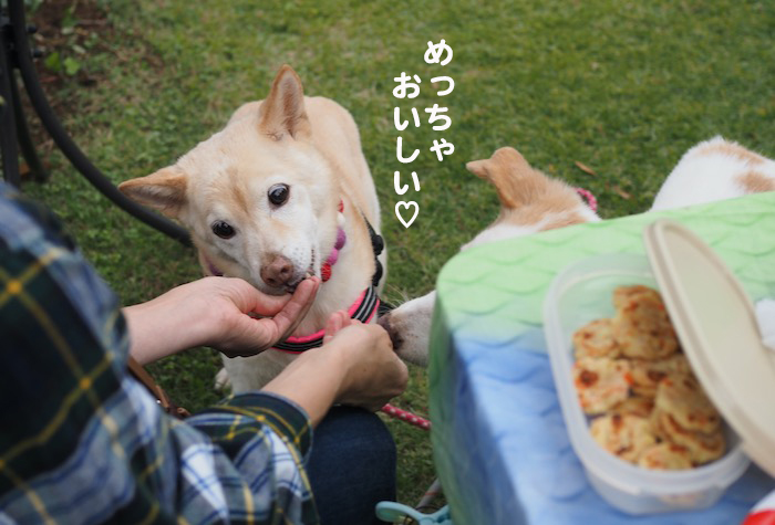 7日夕ブログ１０