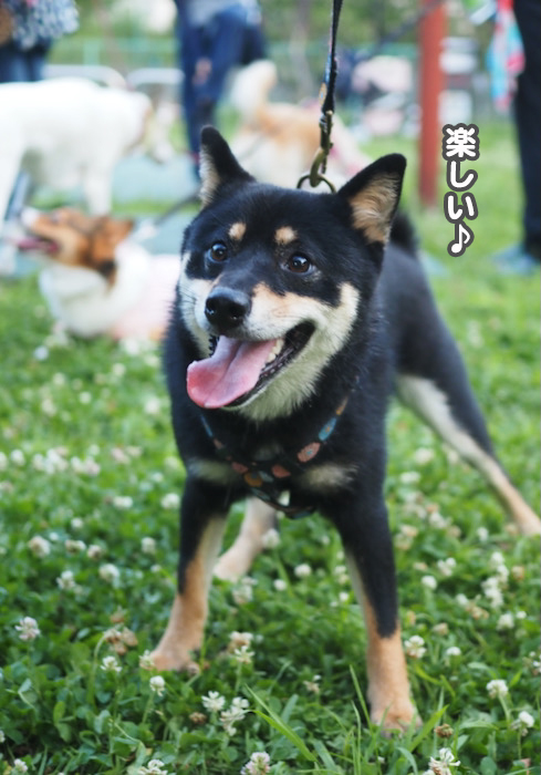 8日夕ブログ５