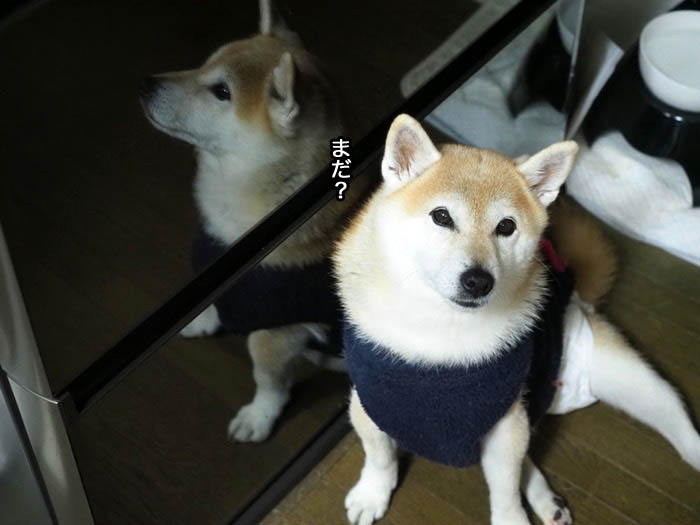 9日ブログ３