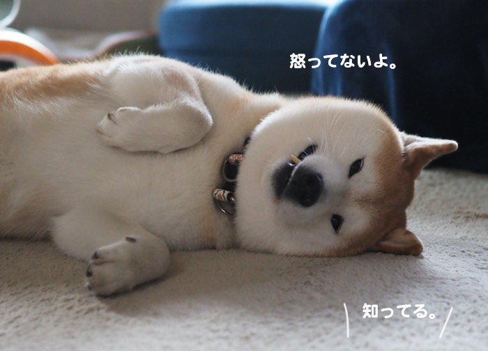 12日ブログ２
