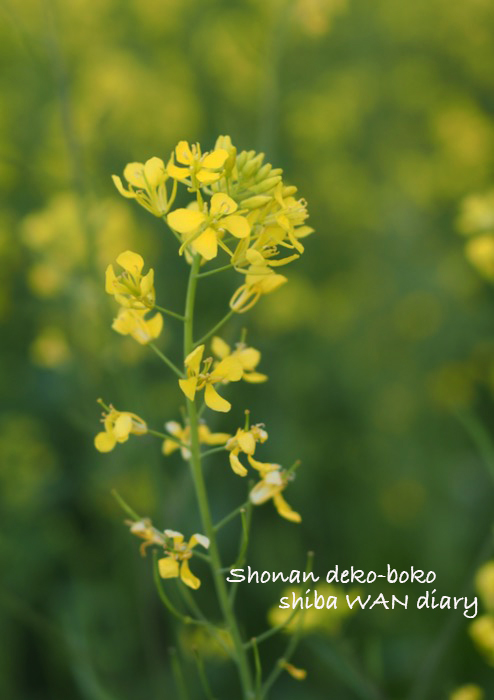 31日ブログ3