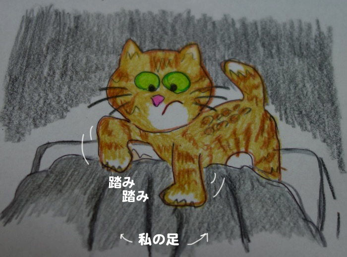 19日夕ブログ３