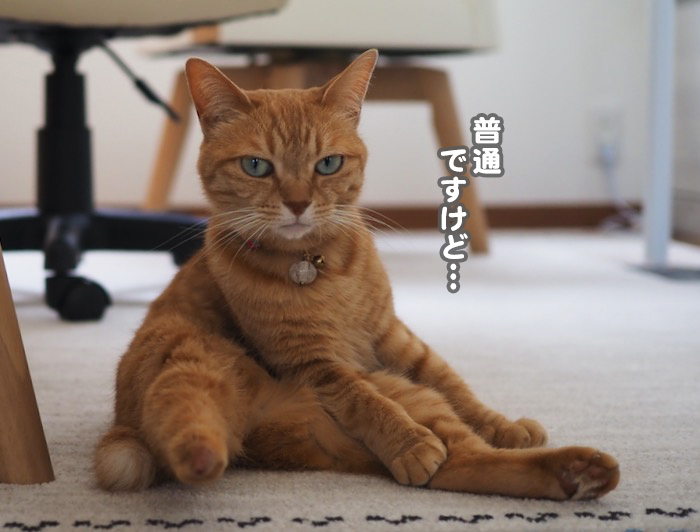 30日ブログ５