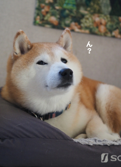 11日ブログ３