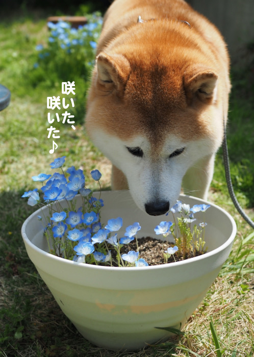 8日ブログ２