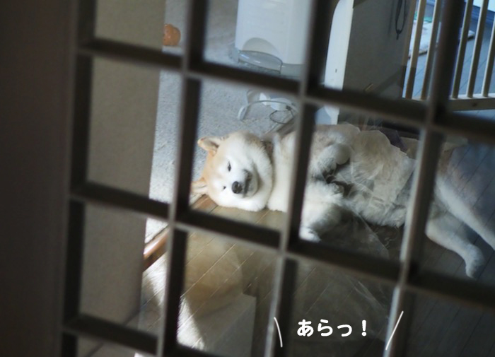 27日ブログ1