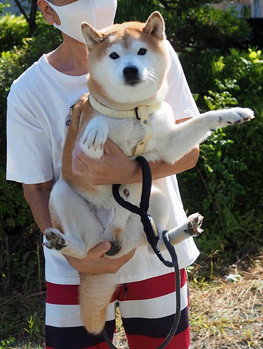 7日夜ブログ７