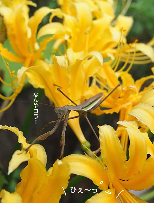 16日ブログ２