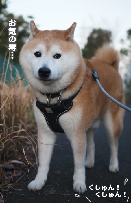 1日夕ブログ４